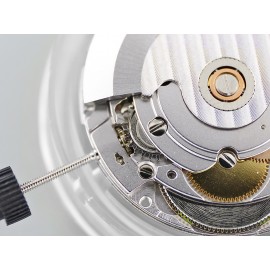 Asia 2824 watch movement