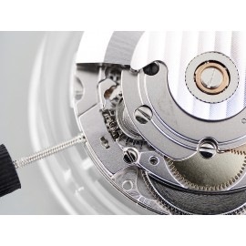 Asia 2836 watch movement